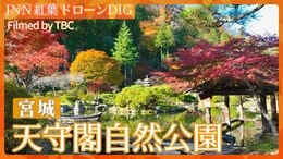 紅葉スケッチ～天守閣自然公園～【JNN 紅葉ドローンDIG 2025】|TBS NEWS DIG