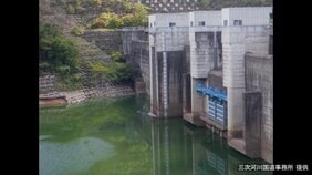 ワカサギ5000匹が死ぬ　猛暑と渇水が原因か　ダムの貯水池で　巡視していた担当者が大量死を発見　広島・三次市の灰塚ダム|TBS NEWS DIG