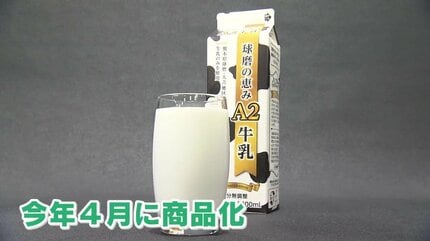 牛乳様確認用 牛乳でお腹がゴロゴロする人へ！10年かけて商品化した九州初「A2牛乳