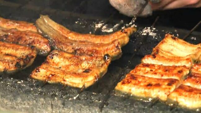 「わざわざ東京から」養鰻日本一の鹿児島で土用の丑の日　朝からウナギ専門店賑わう|TBS NEWS DIG