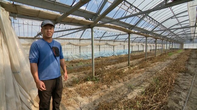 「どうにか再建しないと･･･」”売るものがない”電器店・農家･･･大雨から1か月　復旧目指すも葛藤抱える被災者　福岡県福津市|TBS NEWS DIG