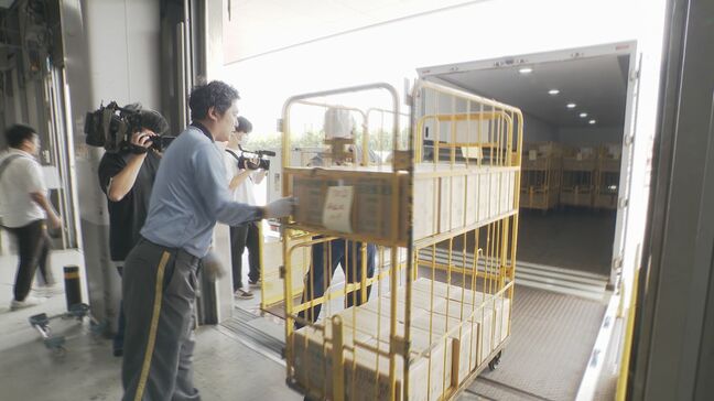 「午年」年賀はがき 郵便局に搬入 去年に続き能登復興へ思い込めたデザインも|TBS NEWS DIG