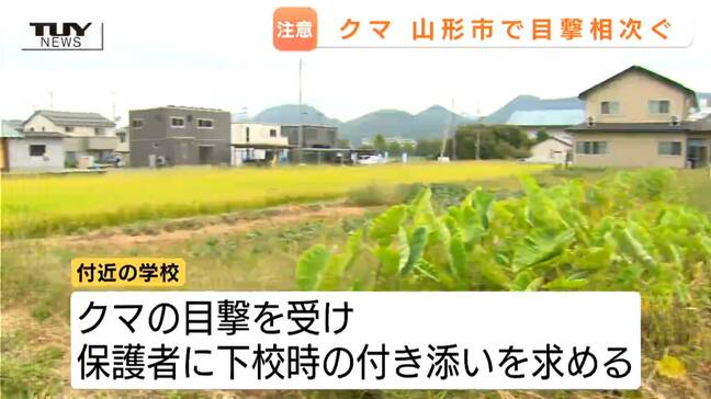 【動画】先週も情報相次いでいた…市街地でクマ1頭目撃 近くには学校も…保護者付き添いの下校など対応(山形市)|TBS NEWS DIG