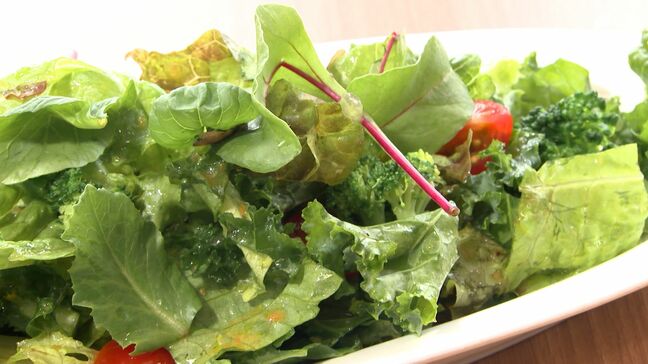 レタス477円 キャベツ300円以上値下がり「これぐらい物も良くて安いと気持ちよく盛れる」葉物野菜がお値打ちに|TBS NEWS DIG