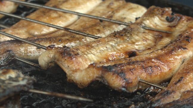 「消化に時間がかかり、胃腸に負担」夏バテ解消にウナギや焼肉は逆効果…“本当に効く”夏バテ回復メニューを専門家に聞いてみた|TBS NEWS DIG