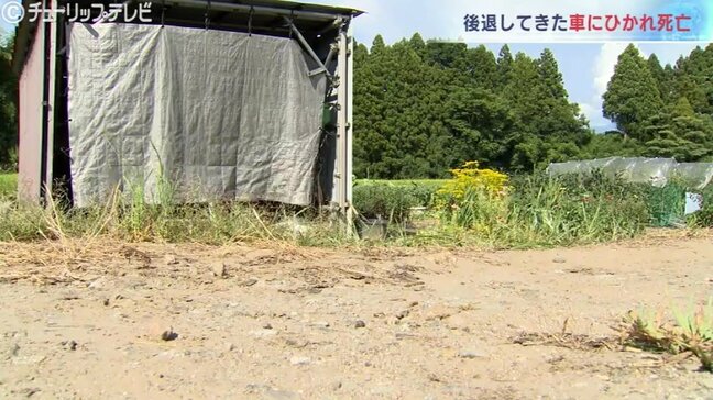 義理の娘が運転する車にひかれ98歳女性が死亡　「アクセルとブレーキ踏み間違えた」富山・上市町|TBS NEWS DIG