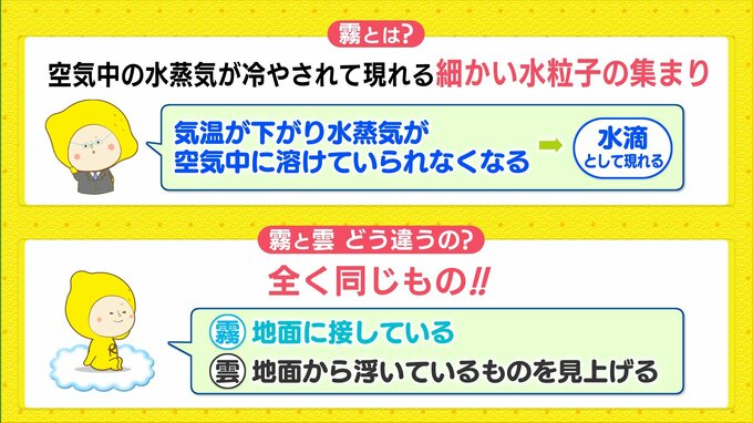 【天気メモ】霧って何？　雲との違いは、、？|TBS NEWS DIG