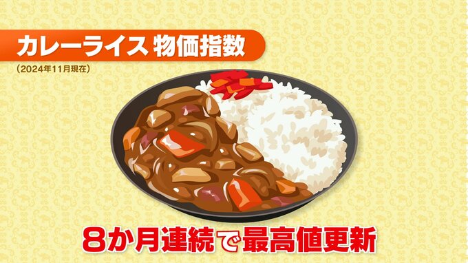 カレー1皿作るのに377円…10年前より100円増「カレーライス物価指数」8か月連続で最高値更新|TBS NEWS DIG
