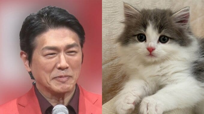 【 ねこ 】　高橋克典さん「ウーウー！シャーシャー合戦」自宅に迎えた新しい子猫ラヴィくんと先住猫ミルリィちゃんの様子を報告|TBS NEWS DIG