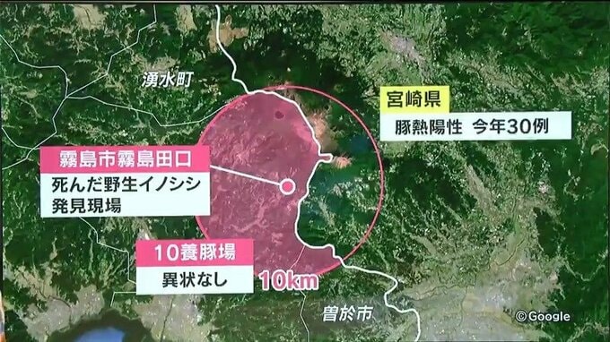 野生イノシシで「豚熱」を正式に確認　鹿児島県内では初　|　鹿児島のニュース｜MBC NEWS｜南日本放送