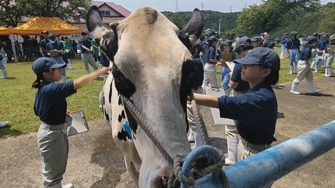 高校生が牛の目利き競う　「家畜審査競技」　まっすぐな眼差しの先に畜産の未来　|　BSSニュース | BSS山陰放送