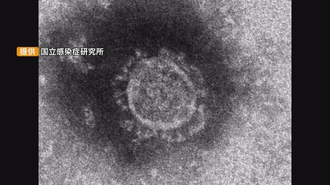 新型コロナ　感染者数が高止まり　10歳～14歳が多く　9月に入り県内小中高校で3件の学級閉鎖　富山　|　富山のニュース｜天気・防災｜チューリップテレビ