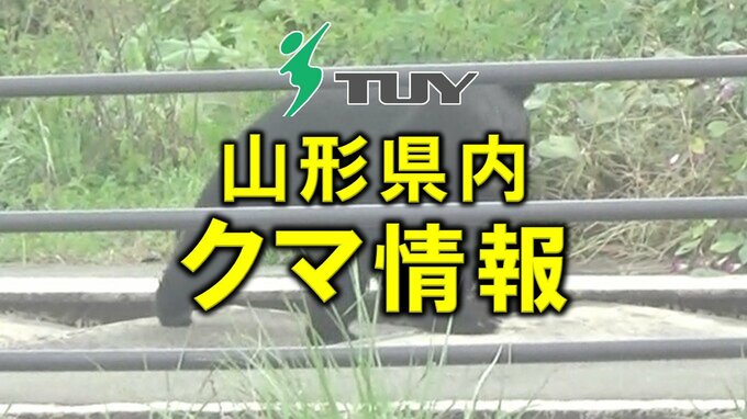 クマスプレーを噴射→クマ逃走　山菜採りのため山に入った39歳男性がクマに襲われる　左腕にケガ（山形・鶴岡市）　|　山形のニュース│TUYテレビユー山形