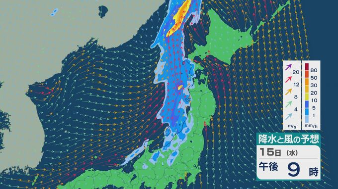 【台風情報】台風9号（バービー）が再び日本へ 15日(水)以降日本海を通り北海道付近へ 温帯低気圧になっても「風は台風並み」に 北陸から北海道では雨風強まる 雨と風シミュレーション　|TBS NEWS DIG