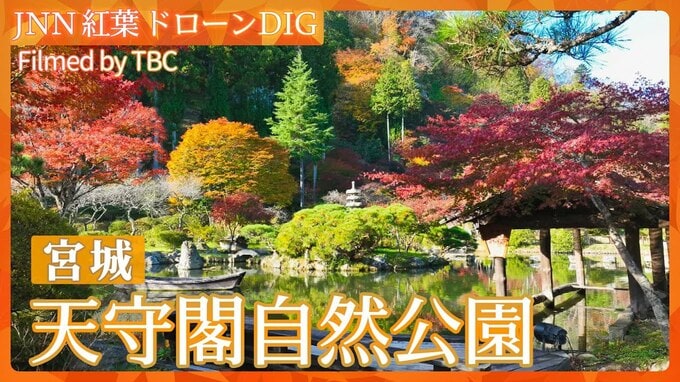 紅葉スケッチ～天守閣自然公園～【JNN 紅葉ドローンDIG 2025】|TBS NEWS DIG