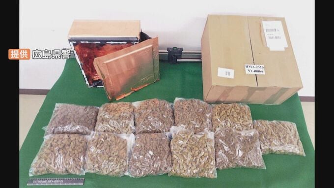 「知人から荷物の受け取りは頼まれた」2450万円相当の乾燥大麻をアメリカから密輸か ベトナム人留学生(22)を書類送検 広島　|　RCC NEWS | 広島ニュース | RCC中国放送