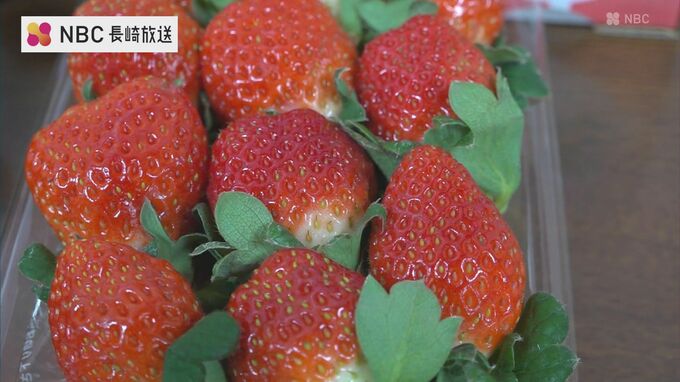 昨年度は過去最高の販売額　長崎県産いちご高収量生産者を表彰　|　長崎のニュース | 天気 | NBC長崎放送