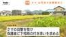 【動画】先週も情報相次いでいた…市街地でクマ1頭目撃　近くには学校も…保護者付き添いの下校など対応（山形市）　|　山形のニュース│TUYテレビユー山形