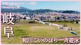 春風に、桜とこいのぼりの競演　岐阜・相川水辺公園【JNN sakuraドローンDIG 2023】|TBS NEWS DIG