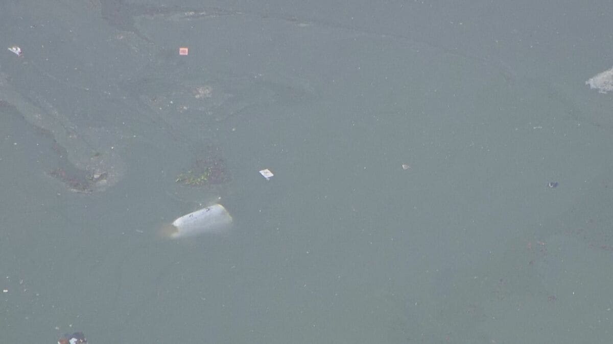 愛知・犬山市の入鹿池に墜落した自衛隊T4練習機 機体の一部など見つかる