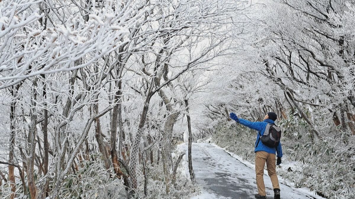 東海地方は今季一番の寒気 岐阜･高山市街地でも平年より1日遅い“初雪” 三重の御在所岳では“初樹氷”