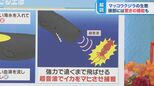 淀川“迷子クジラ” 不思議なことだらけ!マッコウクジラの驚くべき生態【ひるおび】|TBS NEWS DIG