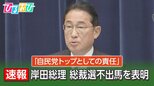岸田総理「私が身を引く」なぜ今?総裁選不出馬の背景は【ひるおび】|TBS NEWS DIG