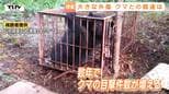 【酒田】付近ではクマ1頭を駆除...山中で発見の高齢男性の遺体は身元がわからないほどの損傷　山菜採りに入った男性か　クマに襲われた可能性を引き続き調べる（山形）|TBS NEWS DIG