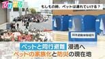 もしもの時、ペットは連れていける?「ペットと同行避難」浸透へ_ペットの家族化と防災の現在地【ひるおび】|TBS NEWS DIG