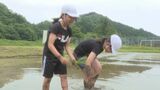 「米の値段はどうやって決まる?」値段についての質問も 小学生が田植え体験 山口・萩|TBS NEWS DIG