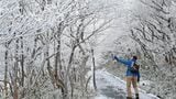 東海地方は今季一番の寒気 岐阜･高山市街地でも平年より1日遅い“初雪” 三重の御在所岳では“初樹氷”　|　名古屋・愛知・岐阜・三重のニュース【CBC news】 | CBC web