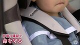 チャイルドシート着用しても適正でなければ致死率は16倍に　「ハーネスの緩み」や「安定感」の点検を|TBS NEWS DIG