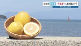 今年のＧＷは近場に注目　阿蘇と天草でお腹いっぱい！　熊本|TBS NEWS DIG