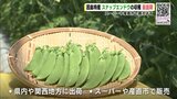 因島特産「スナップエンドウ」の収穫 最盛期　広島･尾道市　スーパーや産直市で買えます　|　RCC NEWS | 広島ニュース | RCC中国放送