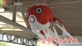 巨大なものや９００個の大群も・・・金魚ちょうちん一足早く|TBS NEWS DIG