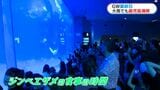 雨のゴールデンウィーク最終日 水族館・天文館は最後まで楽しみ尽くす家族でにぎわう | 鹿児島のニュース|MBC NEWS|南日本放送
