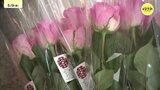 「バラ会議に来てね」市長ら切りバラ配って世界バラ会議・ローズエキスポをPR　広島県福山市|TBS NEWS DIG