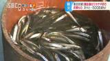 湖に浮かぶ「ドーム船」の中で…冬の風物詩・諏訪湖「ワカサギ釣り」にぎわう、ワカサギは「天ぷら」がおすすめ 長野・岡谷市|TBS NEWS DIG