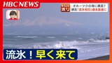 “流氷のマチ”から眺める北海道オホーツク海沖に、いまだ海を覆う流氷の姿は見えず 海水温が高く、北風が吹く日も少ない今シーズン…冬の海には巨大生物の群れ | 北海道のニュース|HBC北海道放送