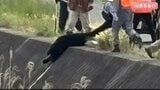 「まさかこんな街なかで…怖いですね」中学校や交差点でも【クマの目撃情報】「運動会が心配…」長野・千曲市で成獣とみられる1頭を駆除…今後もクマの出没に注意 | SBC NEWS | 長野のニュース | SBC信越放送