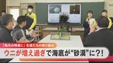 海藻を食べる厄介者のウニが大増殖 “中身がスカスカ”で利用価値なかったが…中学生が商品化目指し奮闘中 | 名古屋・愛知・岐阜・三重のニュース【CBC news】 | CBC web