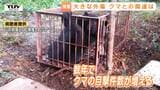 【酒田】付近ではクマ1頭を駆除...山中で発見の高齢男性の遺体は身元がわからないほどの損傷　山菜採りに入った男性か　クマに襲われた可能性を引き続き調べる（山形）|TBS NEWS DIG
