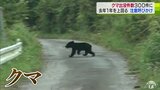 クマ出没件数300件に 2022年をすでに上回る 青森県 | 青森のニュース│ATV NEWS│青森テレビ