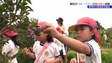 待ちに待ったブルーベリーの味に歓声 園児のブルーベリー摘み取り体験 岩手・奥州市|TBS NEWS DIG