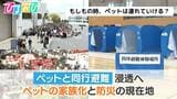 もしもの時、ペットは連れていける？「ペットと同行避難」浸透へ＿ペットの家族化と防災の現在地【ひるおび】|TBS NEWS DIG