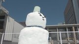真夏なのに“雪の広場”が出現 1.6mの“雪だるま”も...真夏の雪体験イベント「涼しくてありがたい」 富山 | 富山のニュース|天気・防災|チューリップテレビ