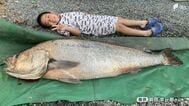 海岸に現れた1.5メートルの"幻の魚" 暗闇のなか「オオニベ」と3時間の格闘...釣り人が振り返った奇跡のキャッチ＝静岡　|　静岡のニュース | SBSNEWS | 静岡放送