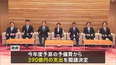 レアアースなど供給ルートを新たに開拓へ　政府が予備費で390億円支出を閣議決定　海外で資源開発する民間企業を支援へ| TBS CROSS DIG with Bloomberg
