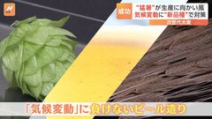 ビール各社が取り組む“気候変動に負けないビール造り” 「次世代大麦」に「屋内栽培できるホップ」も…| TBS CROSS DIG with Bloomberg