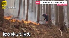 岩手・大槌町の山林火災　早朝から消火活動も“鎮火のめど”立たず…民家1棟を含む7棟の建物に被害 「丸焼け何もない」住民が語る悲痛な思い…【news23】|TBS NEWS DIG